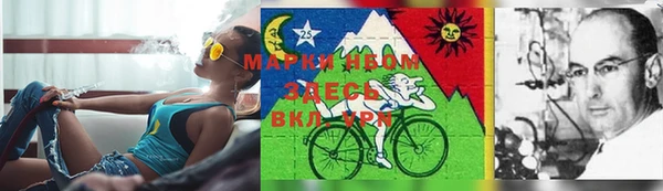 эйфоретик Алзамай
