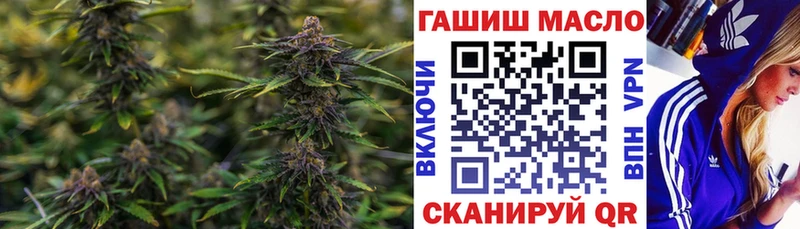 закладка  Арск  mega как войти  ТГК Wax 