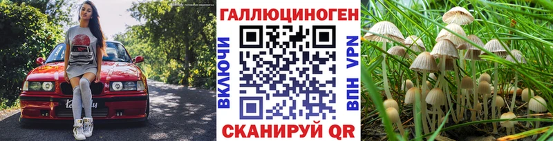 Псилоцибиновые грибы GOLDEN TEACHER  Арск 