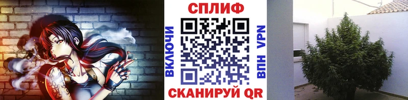 закладки  Арск  ОМГ ОМГ рабочий сайт  Бошки Шишки тримм 